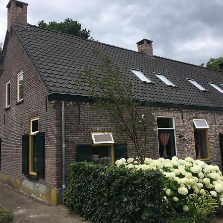 Vakantiehuis In Het Voorhuis Dommelen Dış mekan fotoğraf