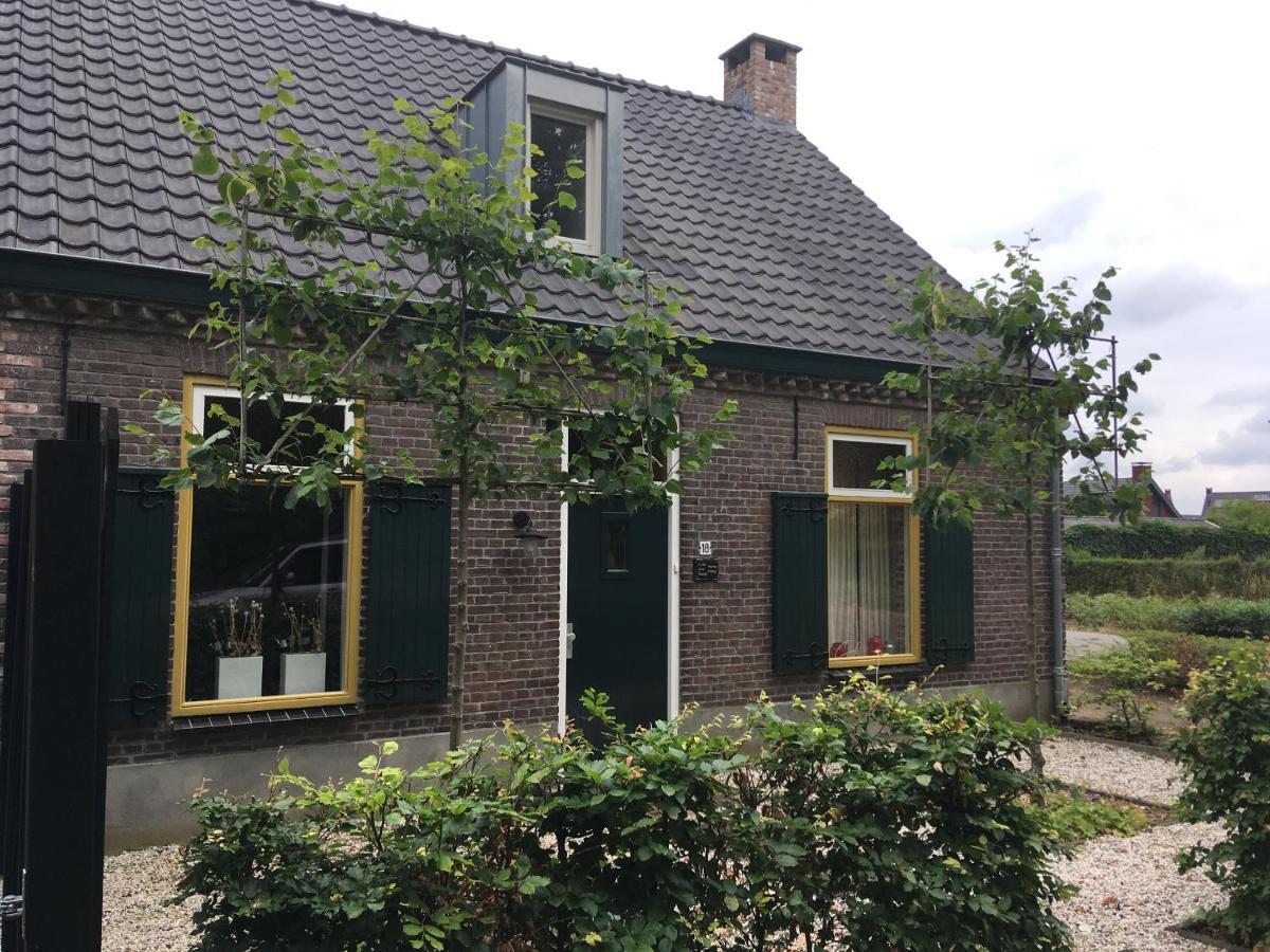 Vakantiehuis In Het Voorhuis Dommelen Dış mekan fotoğraf