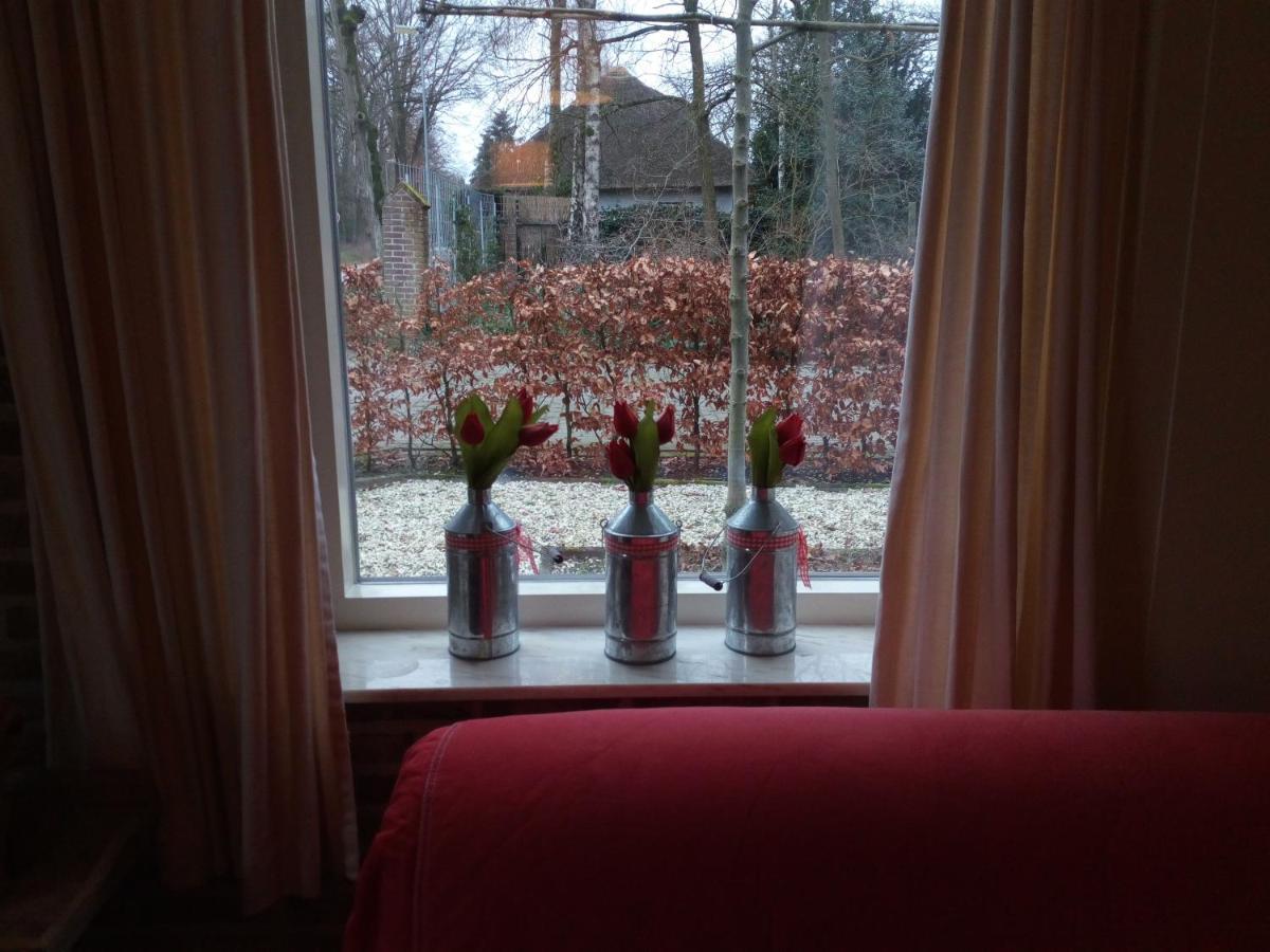 Vakantiehuis In Het Voorhuis Dommelen Dış mekan fotoğraf